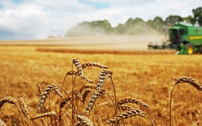 A Mezőgazdasági Kifizető Ügynökség közzétette a 4.1-es felhívást mezőgazdászok számára